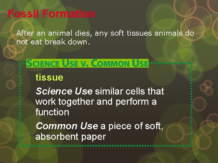 Fossil Formation After an animal dies, any soft tissues animals do not eat break