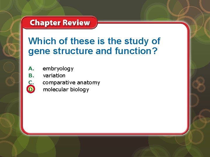 Which of these is the study of gene structure and function? A. B. C.