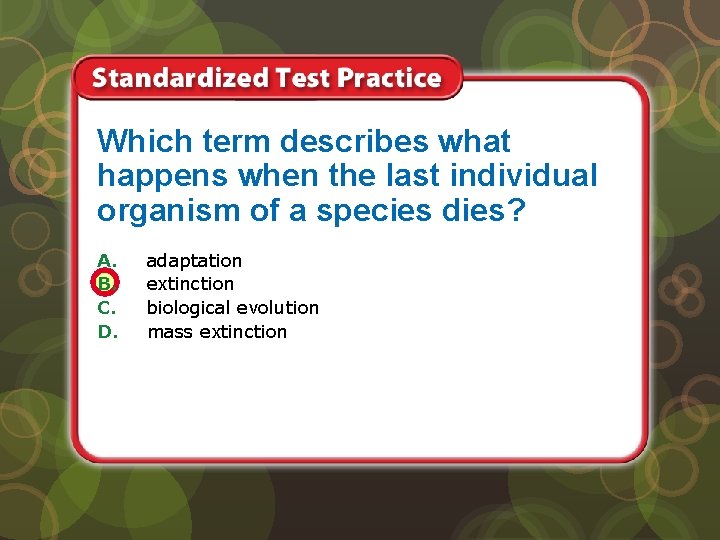 Which term describes what happens when the last individual organism of a species dies?