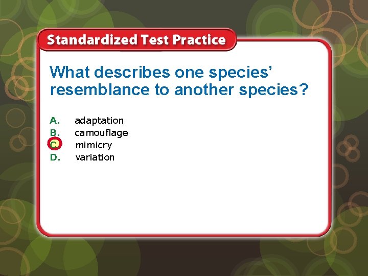 What describes one species’ resemblance to another species? A. B. C. D. adaptation camouflage