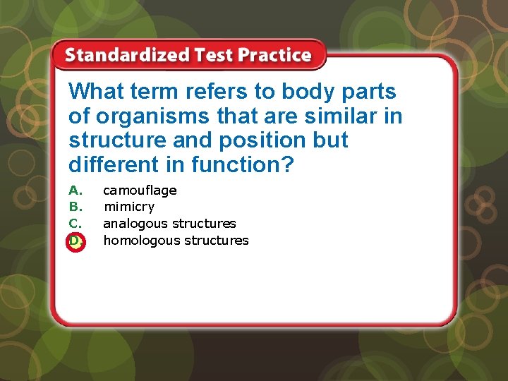 What term refers to body parts of organisms that are similar in structure and