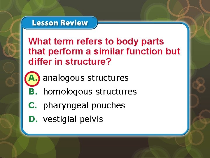 Lesson 3 – LR 1 What term refers to body parts that perform a