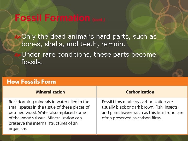Fossil Formation (cont. ) Only the dead animal’s hard parts, such as bones, shells,