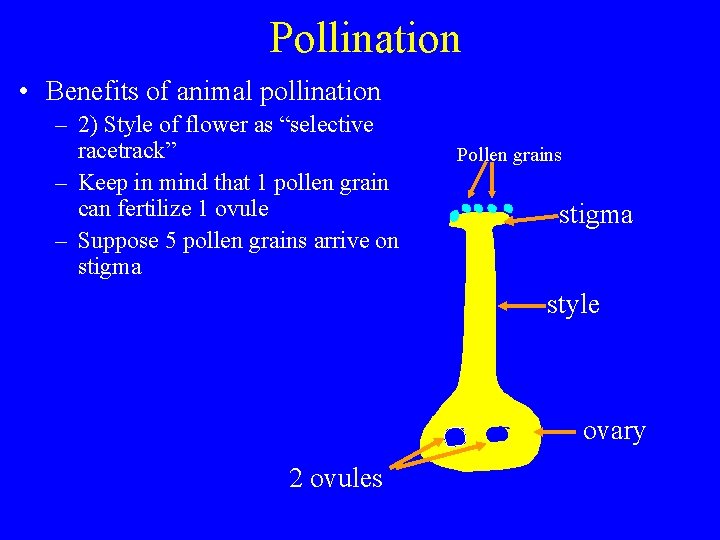 Pollination • Benefits of animal pollination – 2) Style of flower as “selective racetrack”