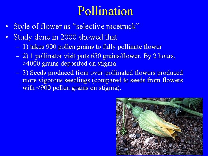 Pollination • Style of flower as “selective racetrack” • Study done in 2000 showed