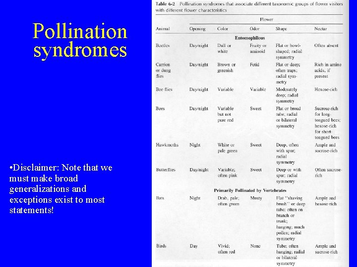 Pollination syndromes • Disclaimer: Note that we must make broad generalizations and exceptions exist
