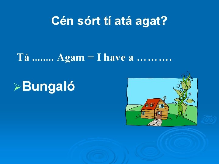 Cén sórt tí atá agat? Tá. . . . Agam = I have a