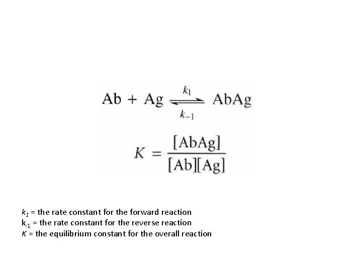 k 1 = the rate constant for the forward reaction k-1 = the rate