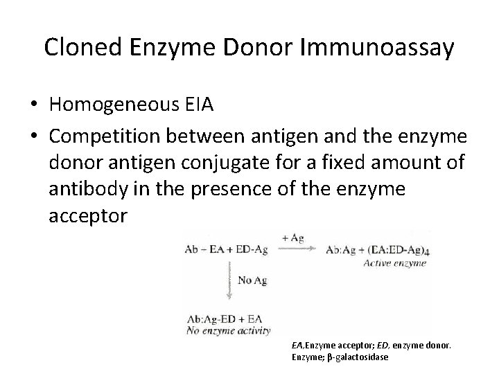 Cloned Enzyme Donor Immunoassay • Homogeneous EIA • Competition between antigen and the enzyme