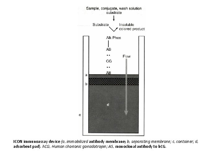 ICON immunoassay device (a, immobilized antibody membrane; b, separating membrane; c, container; d, adsorbent