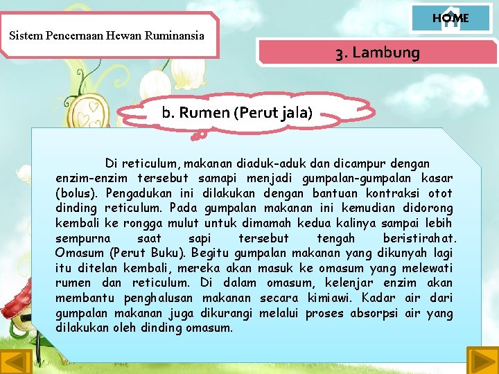 HOME Sistem Pencernaan Hewan Ruminansia 3. Lambung b. Rumen (Perut jala) Di reticulum, makanan
