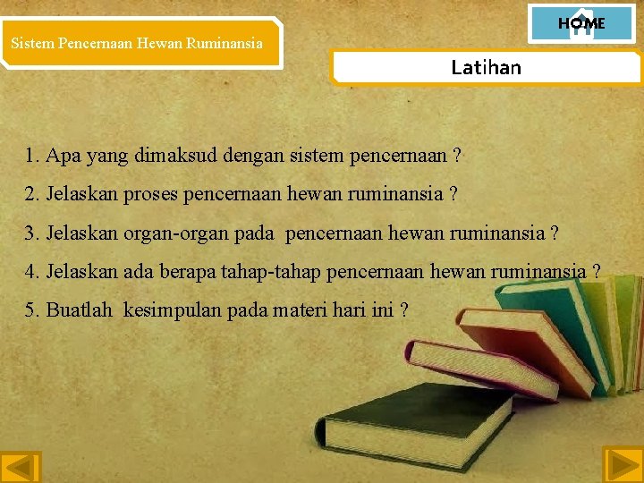 HOME Sistem Pencernaan Hewan Ruminansia Latihan 1. Apa yang dimaksud dengan sistem pencernaan ?