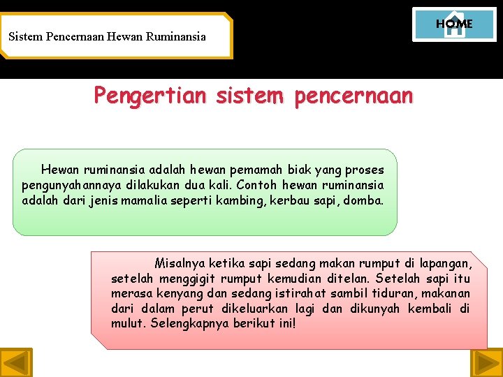 Sistem Pencernaan Hewan Ruminansia HOME Pengertian sistem pencernaan Hewan ruminansia adalah hewan pemamah biak