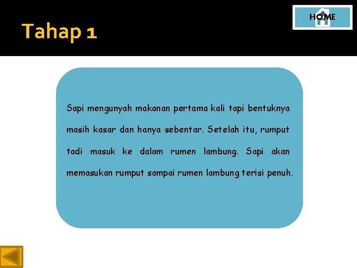 Tahap 1 Sapi mengunyah makanan pertama kali tapi bentuknya masih kasar dan hanya sebentar.