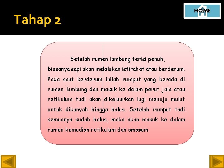 HOME Tahap 2 Setelah rumen lambung terisi penuh, biasanya sapi akan melalukan istirahat atau