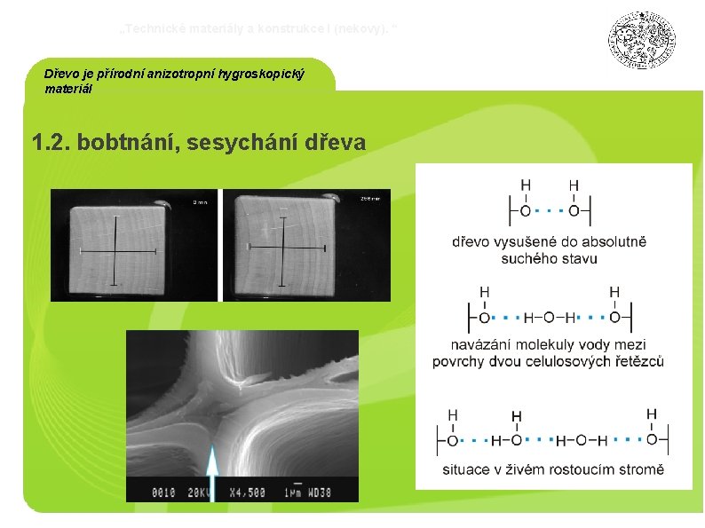„Technické materiály a konstrukce I (nekovy). “ Dřevo je přírodní anizotropní hygroskopický materiál 1.