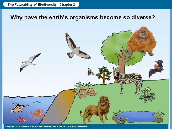 The Futurability of Biodiversity Chapter 2 Why have the earth’s organisms become so diverse?