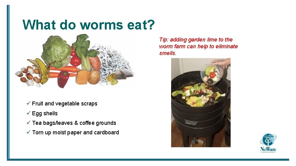 What do worms eat? Tip: adding garden lime to the worm farm can help