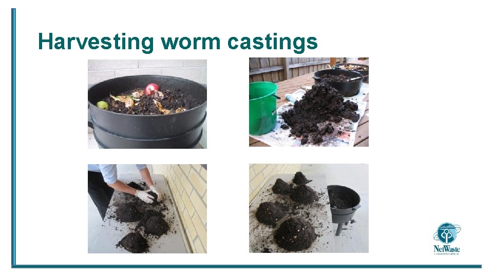 Harvesting worm castings 