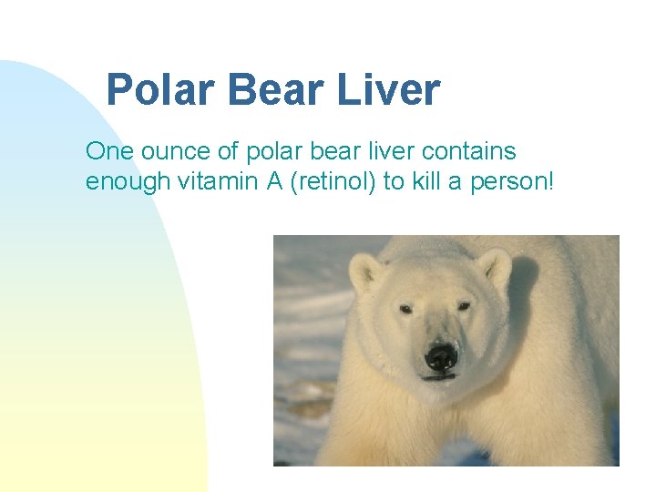Polar Bear Liver One ounce of polar bear liver contains enough vitamin A (retinol) Polar Bear Liver One ounce of polar bear liver contains enough vitamin A (retinol)