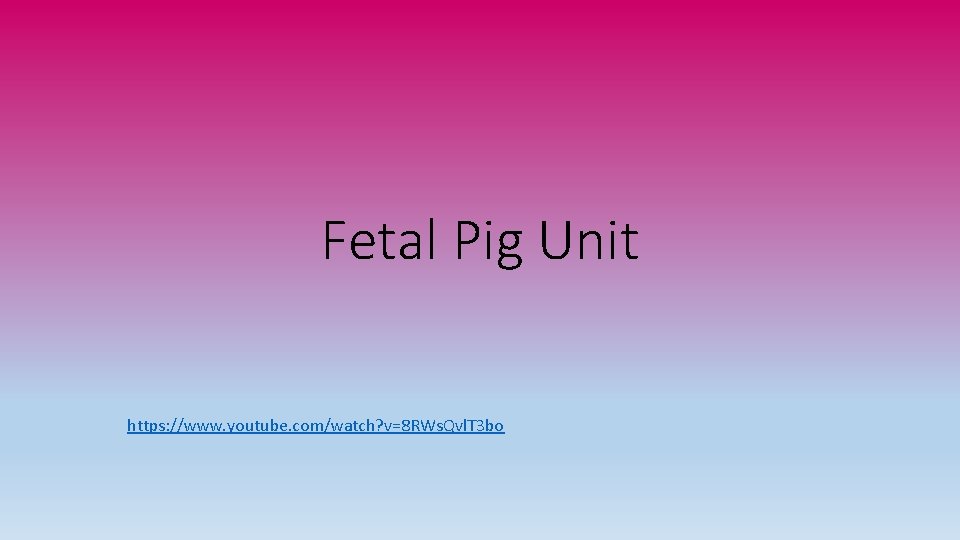 Fetal Pig Unit https: //www. youtube. com/watch? v=8 RWs. Qvl. T 3 bo 