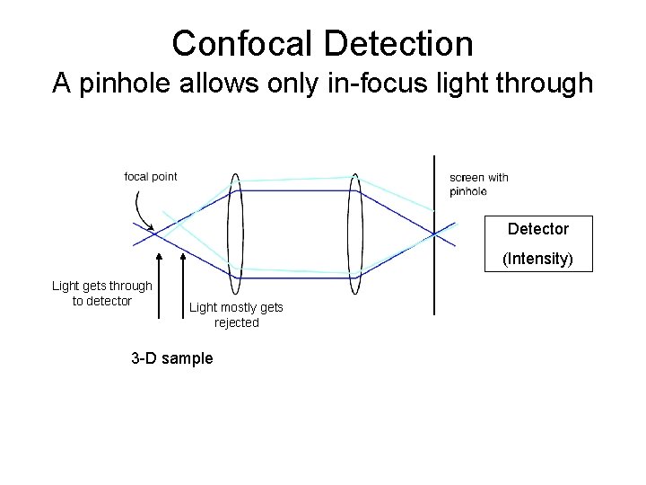 Confocal Detection A pinhole allows only in-focus light through Detector (Intensity) Light gets through