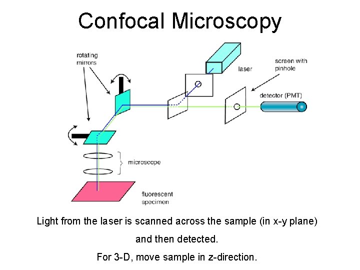 Confocal Microscopy Light from the laser is scanned across the sample (in x-y plane)