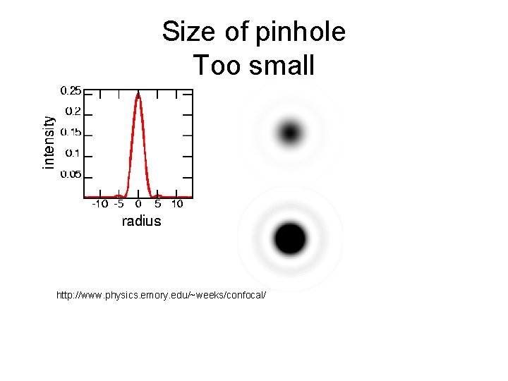 Size of pinhole Too small http: //www. physics. emory. edu/~weeks/confocal/ 