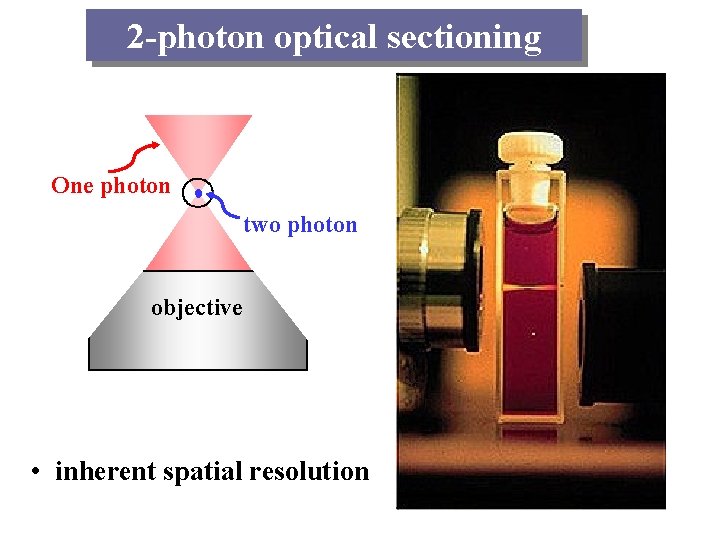 2 -photon optical sectioning One photon two photon objective • inherent spatial resolution 