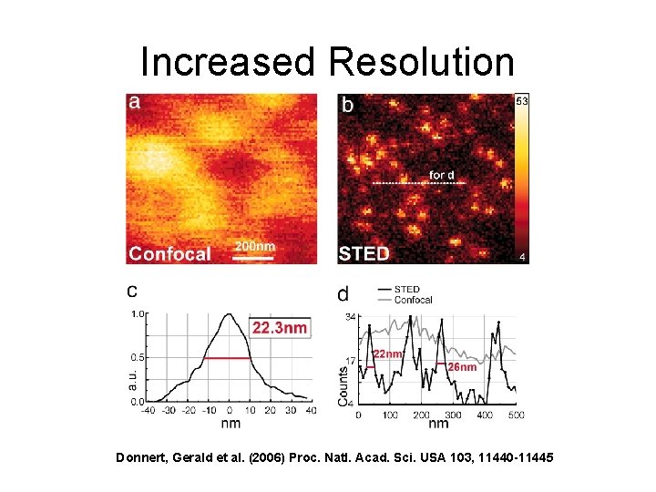 Increased Resolution Donnert, Gerald et al. (2006) Proc. Natl. Acad. Sci. USA 103, 11440