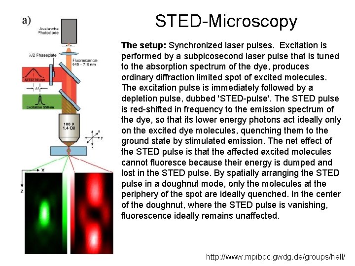 STED-Microscopy The setup: Synchronized laser pulses. Excitation is performed by a subpicosecond laser pulse