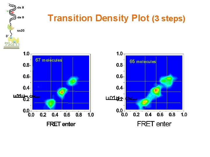 Transition Density Plot (3 steps) 67 molecules 65 molecules 