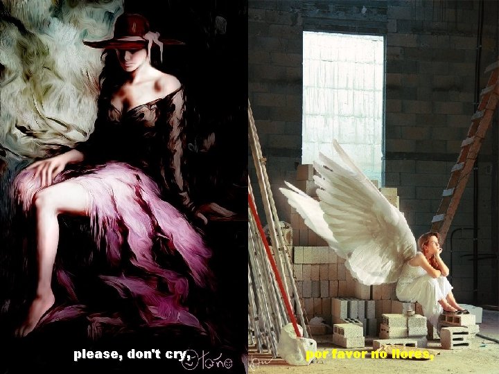 please, don't cry, por favor no llores, 
