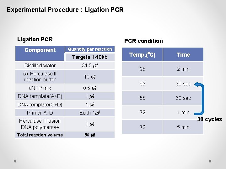 Experimental Procedure : Ligation PCR Component PCR condition Quantity per reaction Targets 1 -10