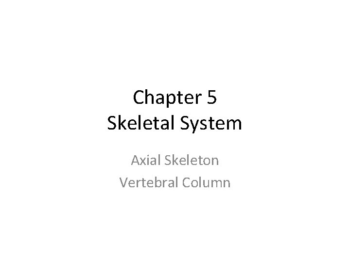 Chapter 5 Skeletal System Axial Skeleton Vertebral Column 
