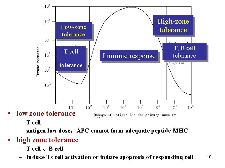 High-zone tolerance Low-zone tolerance T cell Immune response T, B cell tolerance • low