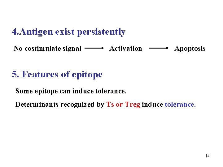 4. Antigen exist persistently No costimulate signal Activation Apoptosis 5. Features of epitope Some