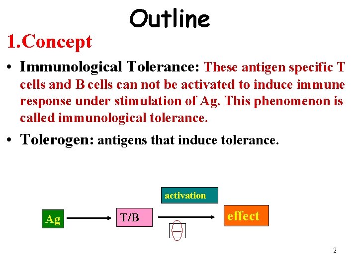 1. Concept Outline • Immunological Tolerance: These antigen specific T cells and B cells