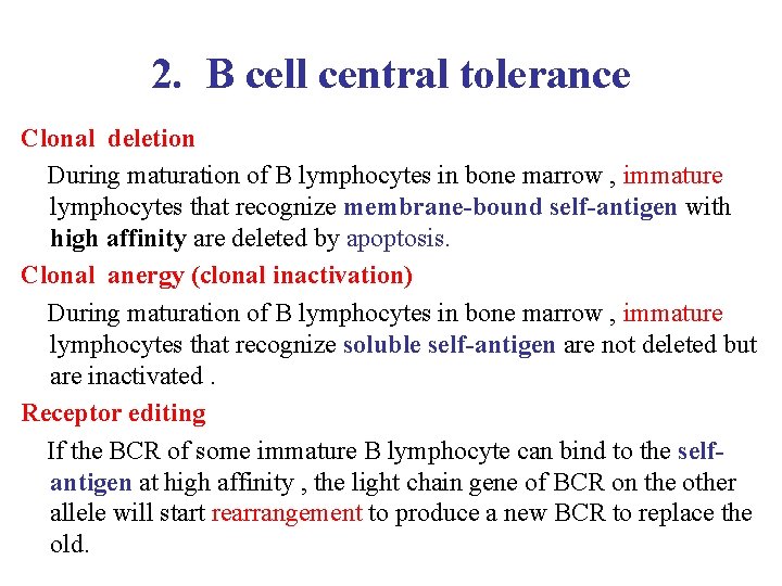 2. B cell central tolerance Clonal deletion During maturation of B lymphocytes in bone