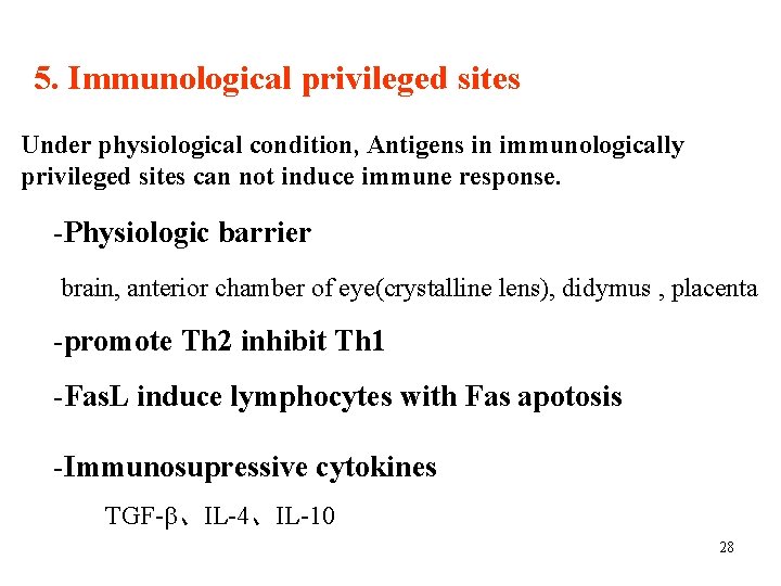 5. Immunological privileged sites Under physiological condition, Antigens in immunologically privileged sites can not