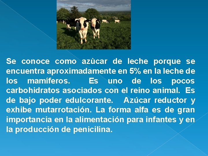 Se conoce como azùcar de leche porque se encuentra aproximadamente en 5% en la