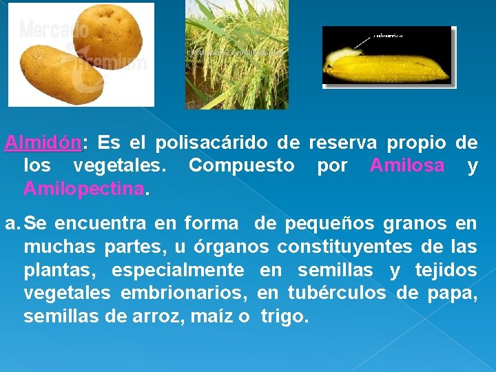 Almidón: Es el polisacárido de reserva propio de los vegetales. Compuesto por Amilosa y