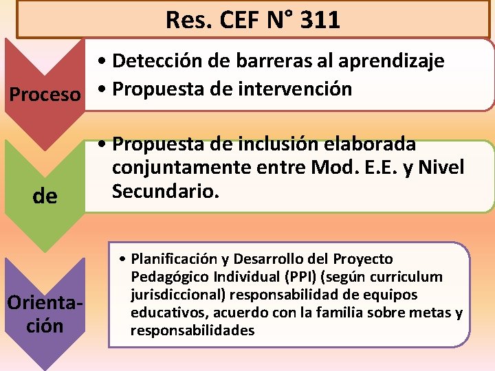 Res. CEF N° 311 • Detección de barreras al aprendizaje Proceso • Propuesta de