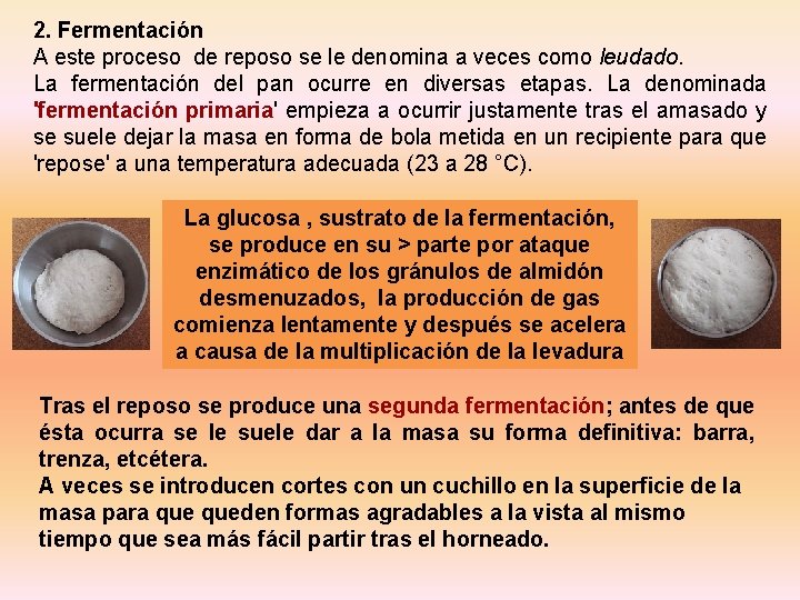 2. Fermentación A este proceso de reposo se le denomina a veces como leudado.