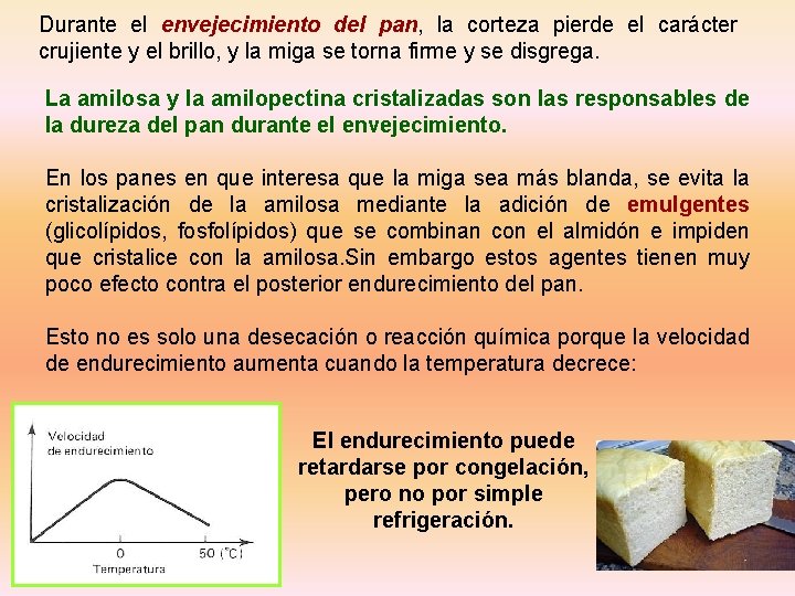 Durante el envejecimiento del pan, la corteza pierde el carácter crujiente y el brillo,