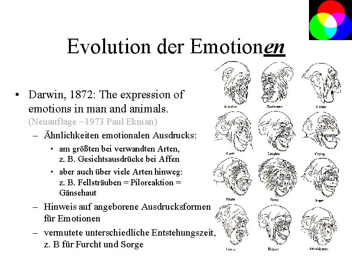 Evolution der Emotionen • Darwin, 1872: The expression of emotions in man and animals.