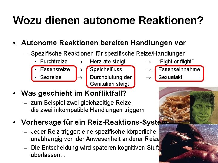 Wozu dienen autonome Reaktionen? • Autonome Reaktionen bereiten Handlungen vor – Spezifische Reaktionen für