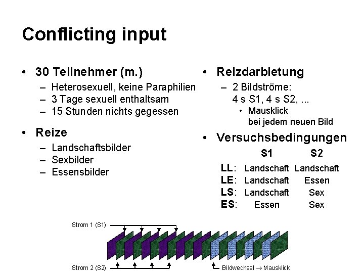 Conflicting input • 30 Teilnehmer (m. ) – Heterosexuell, keine Paraphilien – 3 Tage