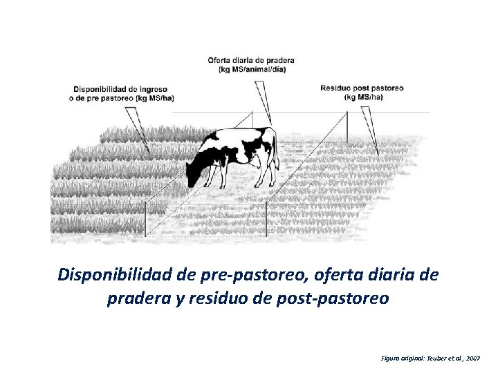 Disponibilidad de pre-pastoreo, oferta diaria de pradera y residuo de post-pastoreo Figura original: Teuber