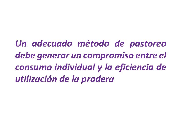 Un adecuado método de pastoreo debe generar un compromiso entre el consumo individual y